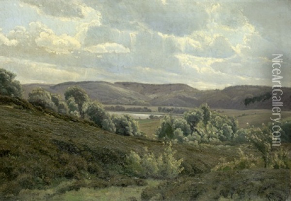 Landschaft Bei Sveibaek Auf Mitteljudland An Einem Klaren Und Windigen Sommertag Oil Painting - Johannes Boesen