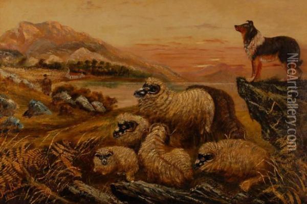 Sheep Dogguarding The Flock Oil Painting - John Barker
