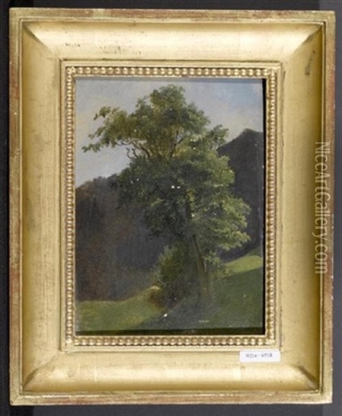 Landschaft Mit Baum Oil Painting - Ludwig Georg Eduard Halauska