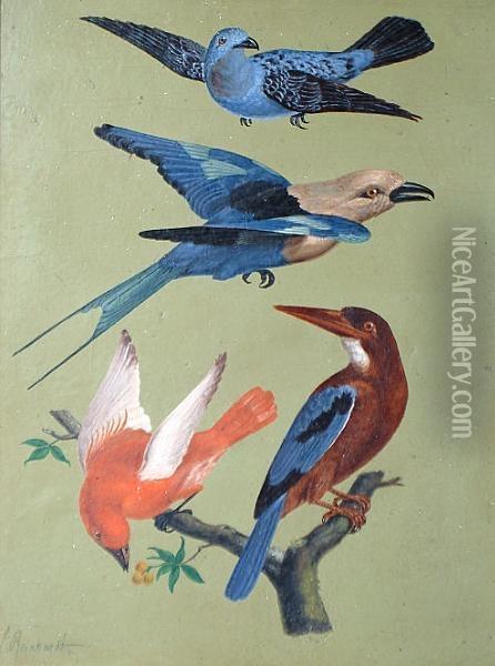 Exotic Birds 'l Reinhardt' (lower Left) Oil Painting - Louis, Ludwig Reinhardt