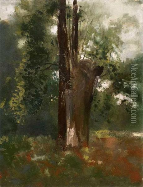 L'arbre Oil Painting - Odilon Redon