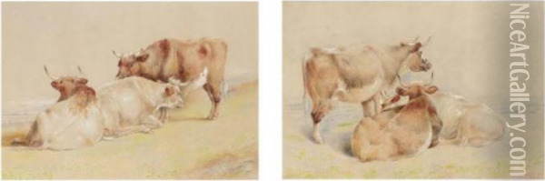Cattle Resting Oil Painting - William Huggins