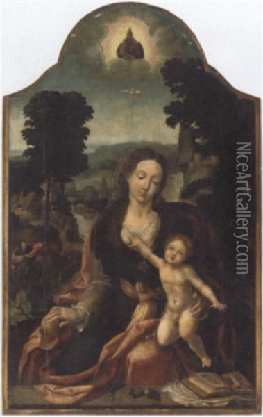 The Virgin And Child In An Extensive River Landscape Oil Painting - Pieter Coecke van Aelst the Elder