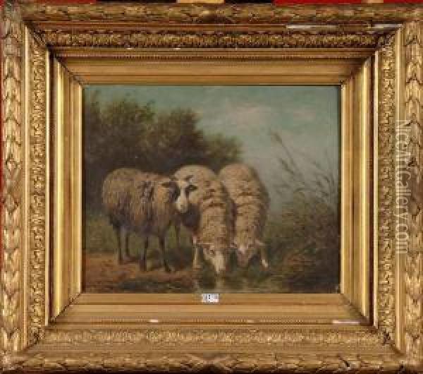 Moutons A La Piece D'eau Oil Painting - Edouard Woutermaertens