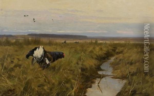Birkhahn Und -huhner Im Moor Oil Painting - Christoffer Drathmann