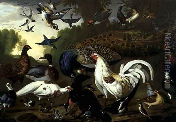 The Fable of the Raven with a Peacock, Cockerel, Woodpecker, Jay, Woodcock, and Magpie Oil Painting - Pieter Casteels