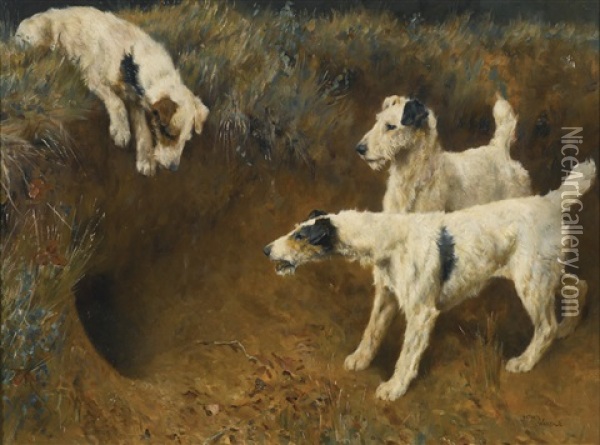 Wire Fox Terriers By A Badger Set Oil Painting - Arthur Wardle