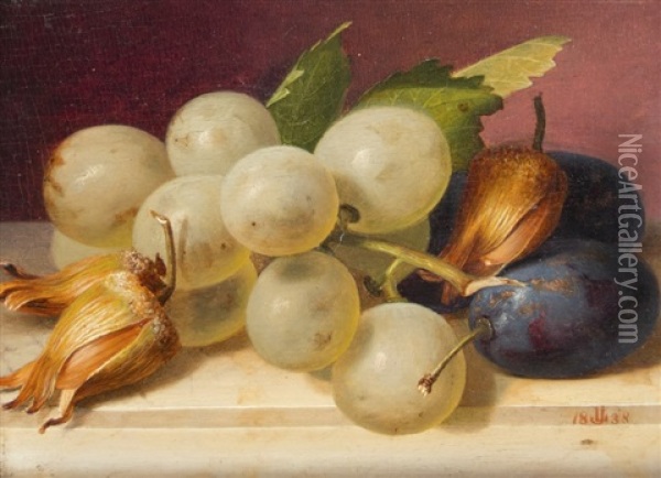 Still Life With Grapes, Plums And Nuts Oil Painting - Jakob Lehnen