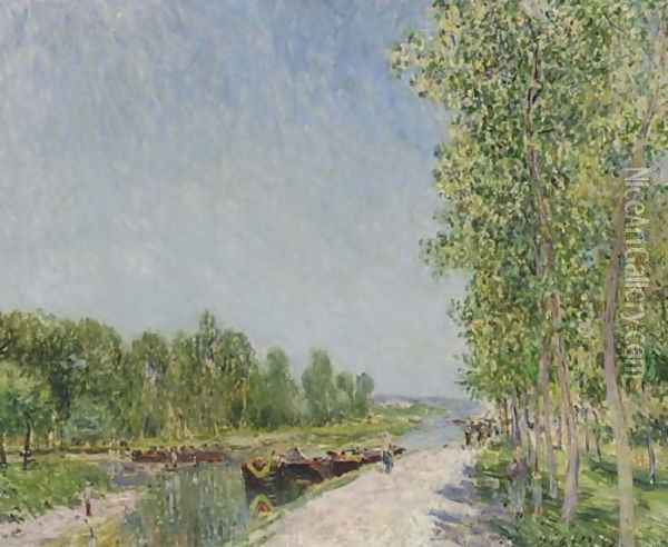 On the Banks of the Loing Canal Oil Painting - Alfred Sisley