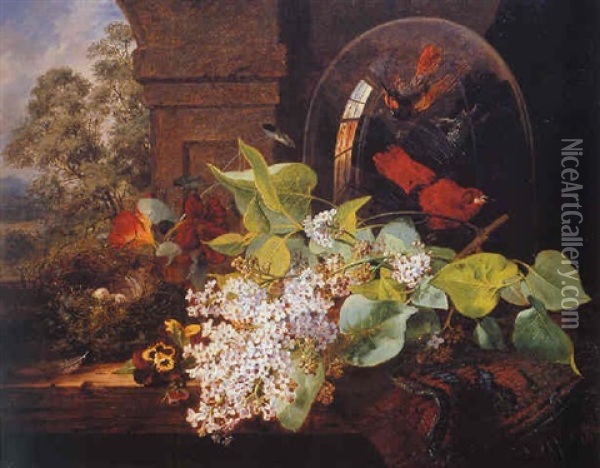 Still Life Of Blossom And Birds Of Paradise Oil Painting - Edward Ladell