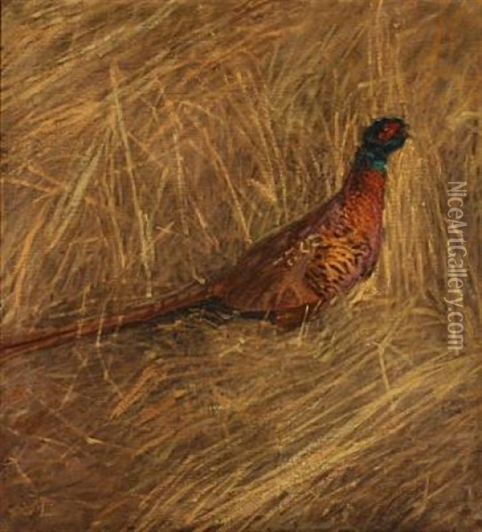 A Male Pheasant In A Field Oil Painting - Christian Juel Madsen