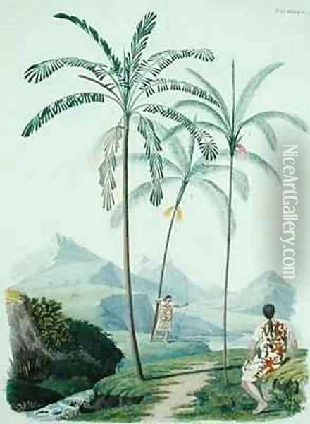 Palm trees in a mountainous part of South America Oil Painting - D'Orbigny, Alcide