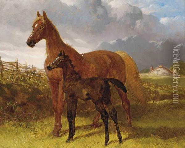 Snr A Chestnut Mare And A Foal In A Field Oil Painting - John Frederick Herring Snr