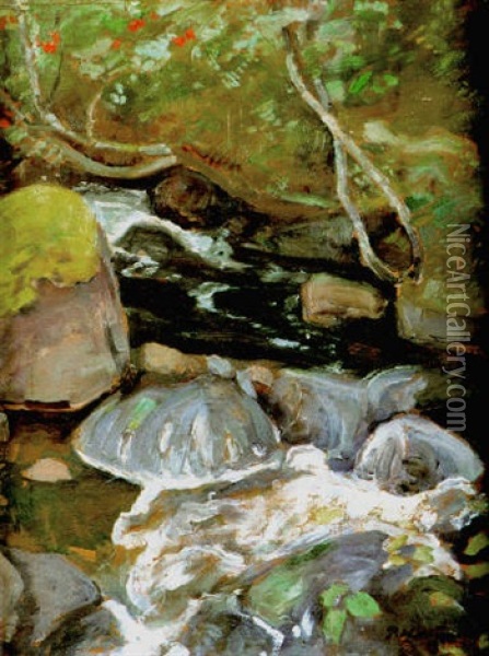 Strommande Vatten Oil Painting - Pekka Halonen