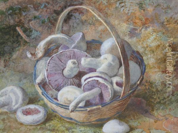 A Basket Of Mushrooms Oil Painting - Jabez Bligh