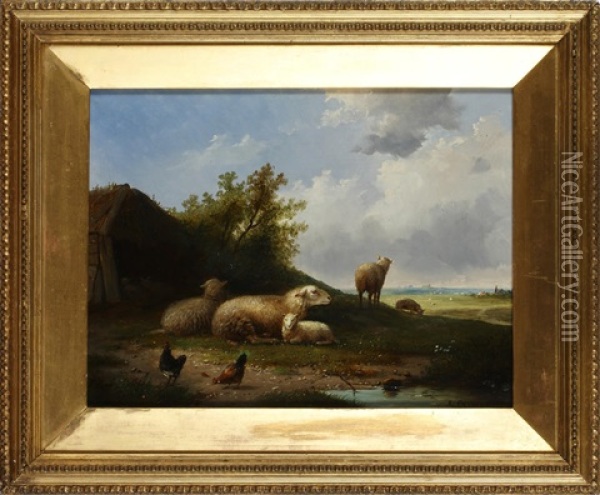 Sheep And Hens In A Field Oil Painting - Auguste Coomans