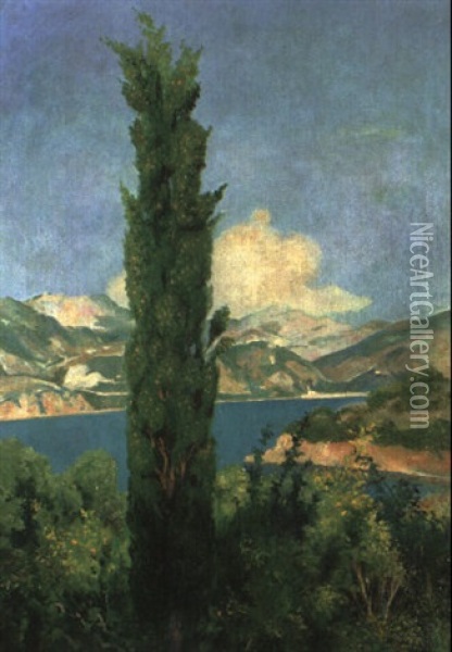 Zypresse Bei Kalamotta, Dalmatien Oil Painting - Emil Orlik