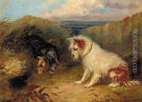 Terriers by a rabbit hole Oil Painting - George Armfield