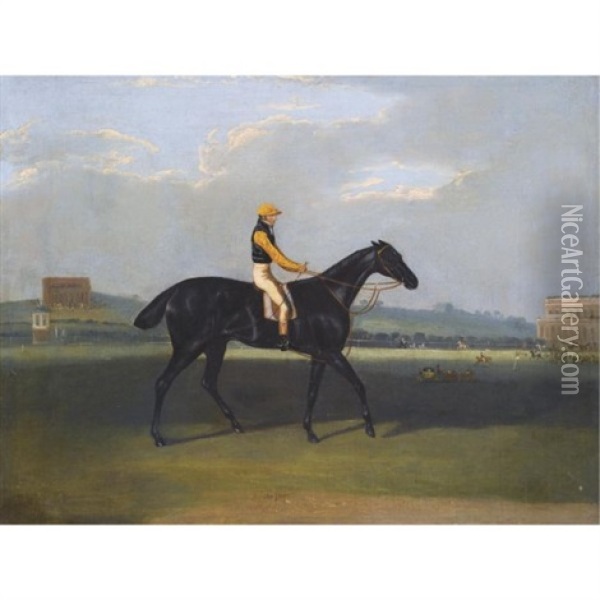 "angler", A Dark Bay Racehorse With Jockey Up Oil Painting - Joshua (of York) Dalby