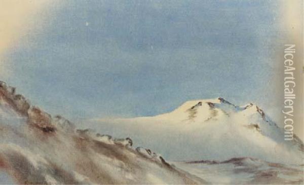 Slopes Of Mount Erebus Oil Painting - Edward Adrian Wilson