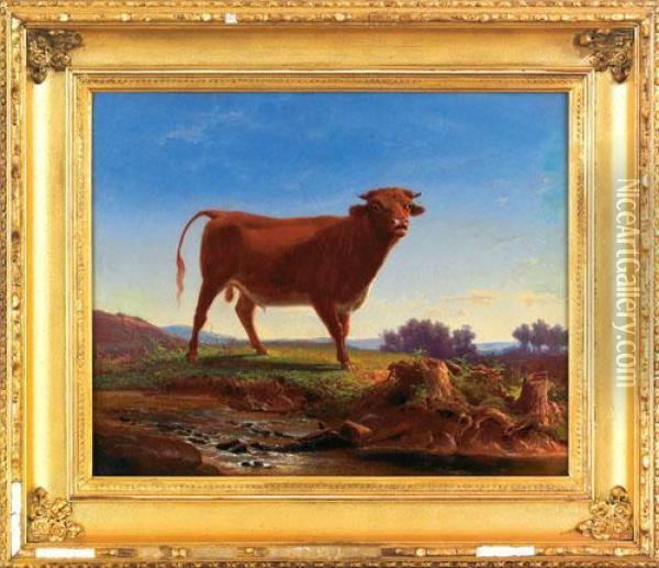 Landscape With A Bull Oil Painting - Francis Daniel Devlan