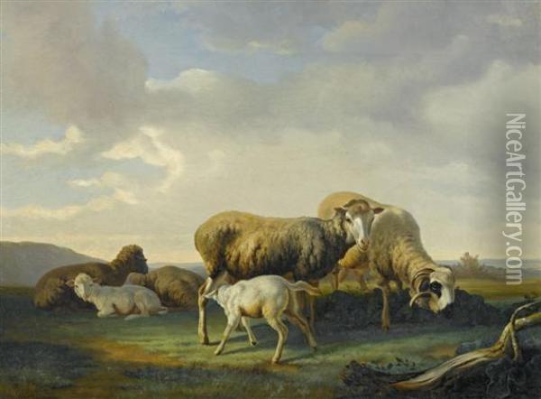 Sheep Grazing Oil Painting - Charles Humbert
