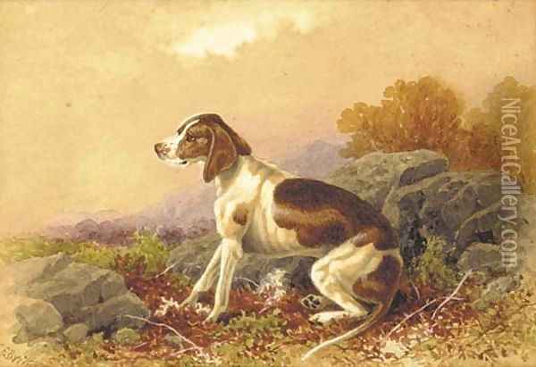 A seated hound in a landscape Oil Painting - Charles Edward Snr Brittan