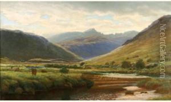 Vue Des Environs Du Cap (afrique Du Sud) Oil Painting - James Stewart