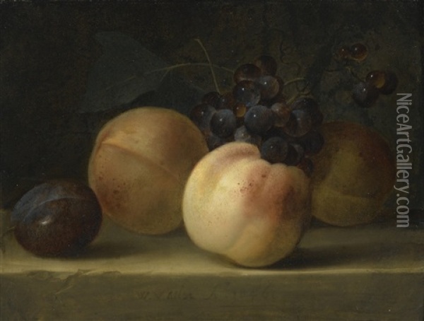 Peaches, A Plum, And Grapes On A Ledge Oil Painting - Willem Van Aelst