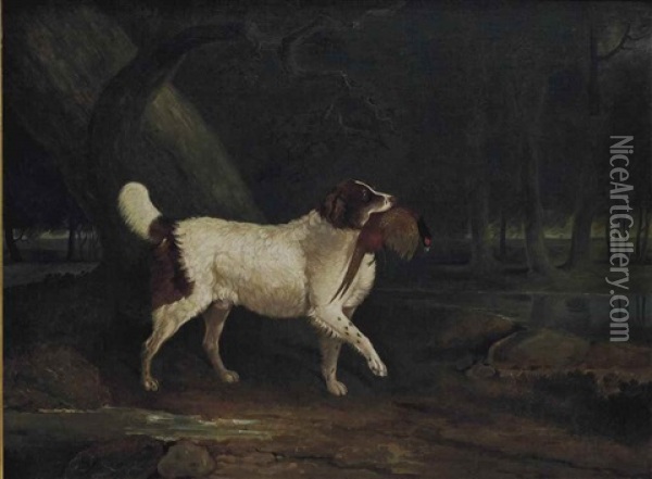 Epagneul Rapportant Un Faisan Oil Painting - Edwin (Sir) Cooper