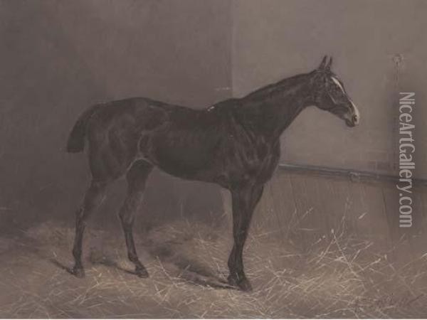 Ringlet A Dark Brown Racehorse In A Stable Oil Painting - Henry Frederick Lucas-Lucas