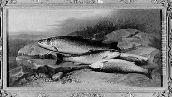 Still Life Of Four Sea Trout With A Bass Reel On A Riverbank Oil Painting - John Bucknell Russell