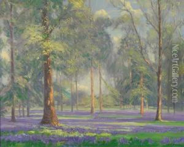 Bluebells, Kew Gardens Oil Painting - Augustus William Enness