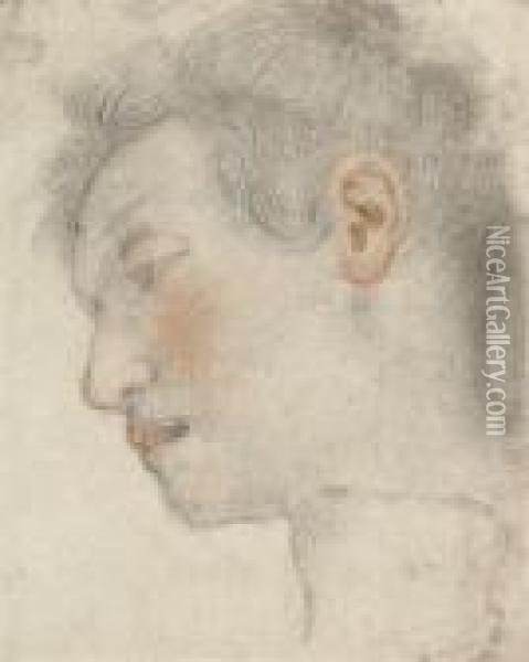 Study Of A Male Head Oil Painting - Jacopo Vignali