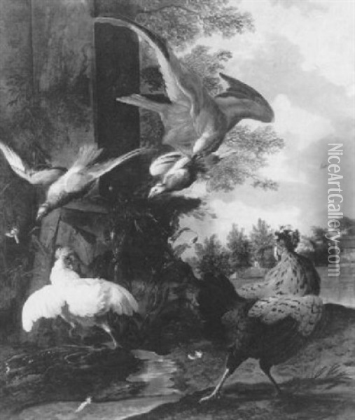 Hawk Attacking Pigeons Oil Painting - Melchior de Hondecoeter