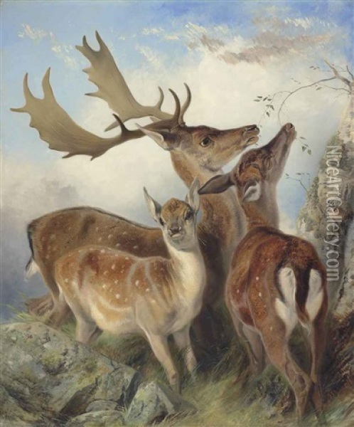 Fallow Deer Oil Painting - Richard Ansdell