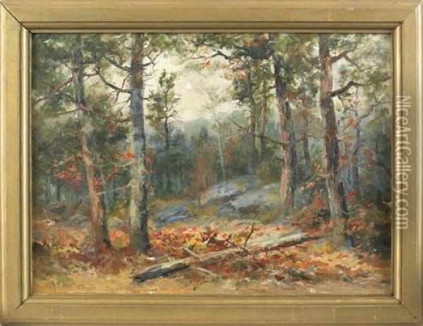 Landscape Oil Painting - Mary B. Leisz