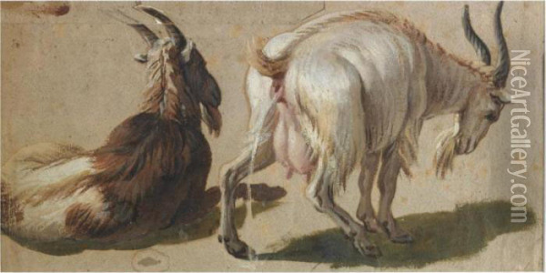 A Study Of Two Goats Oil Painting - Alexandre-Francois Desportes