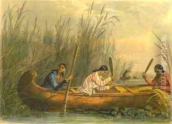 Gathering Wild Rice Oil Painting - Eastman, Captain Seth