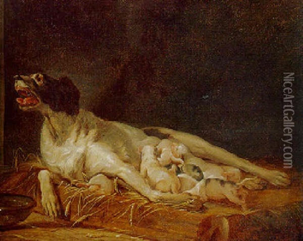A Bitch Nursing Her Puppies In A Kennel Oil Painting - Jean-Jacques Bachelier
