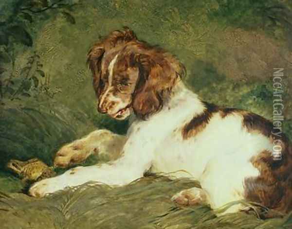 A Puppy teasing a Frog Oil Painting - Sir Edwin Henry Landseer