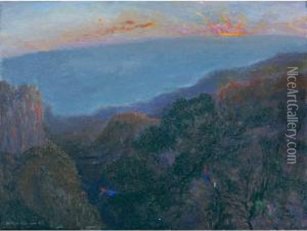 Dawn And Crimson Rosellas Oil Painting - William Robinson