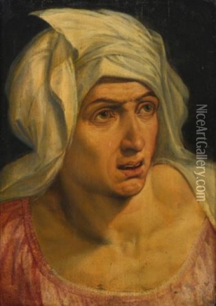 Head Of A Woman Oil Painting - Frans Floris the Elder