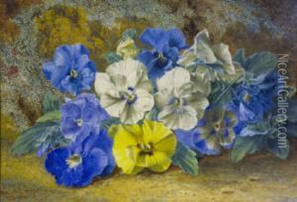 Pansies Oil Painting - Thomas Collier