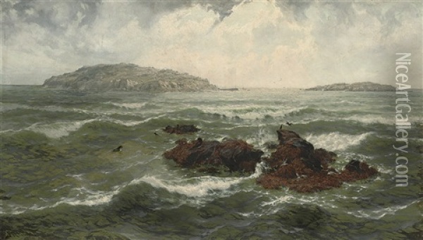 Gulls On A Rocky Outrop Oil Painting - Thomas Rose Miles