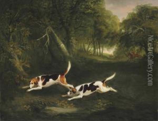 The Ormond Hounds Of The Hon. George O'callaghan Oil Painting - John Snr Ferneley