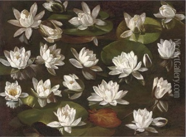 Waterlillies (+ Mixed Blooms, Verso) Oil Painting - Karl Max Gebhardt