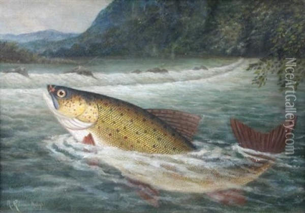 Rainbow Trout On The Fly And In The Net (+ Another; Pair) Oil Painting - A. Roland Knight