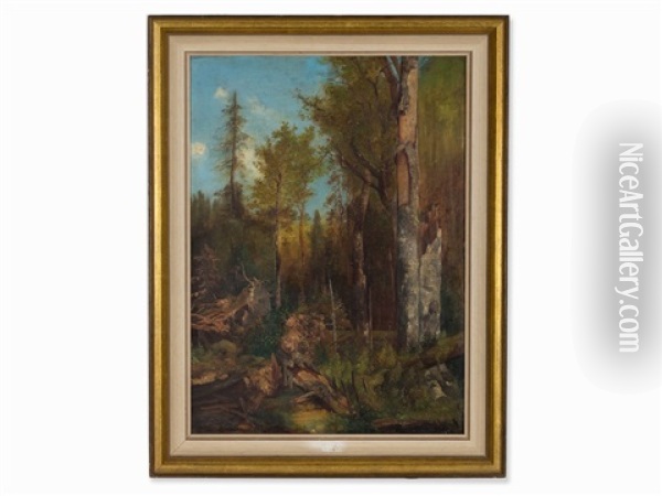 Forest Of The House Of Schwarzenberg Oil Painting - Adolf Obermuellner