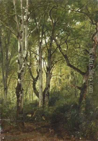 Damwild In Dichtem Laubwald Oil Painting - Jean Henri Zuber